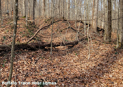 Images from the Historic Buffalo Trace Trail in Orange County Indiana